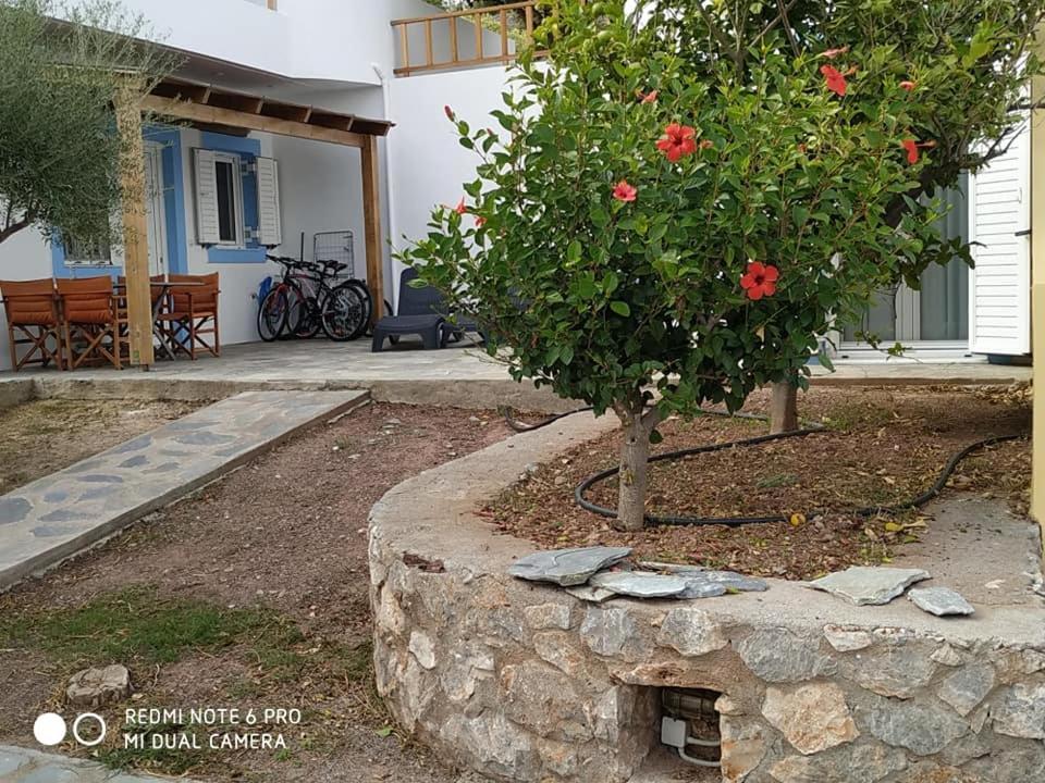 Alkioni Sea View Apartment Káto Zákros Extérieur photo
