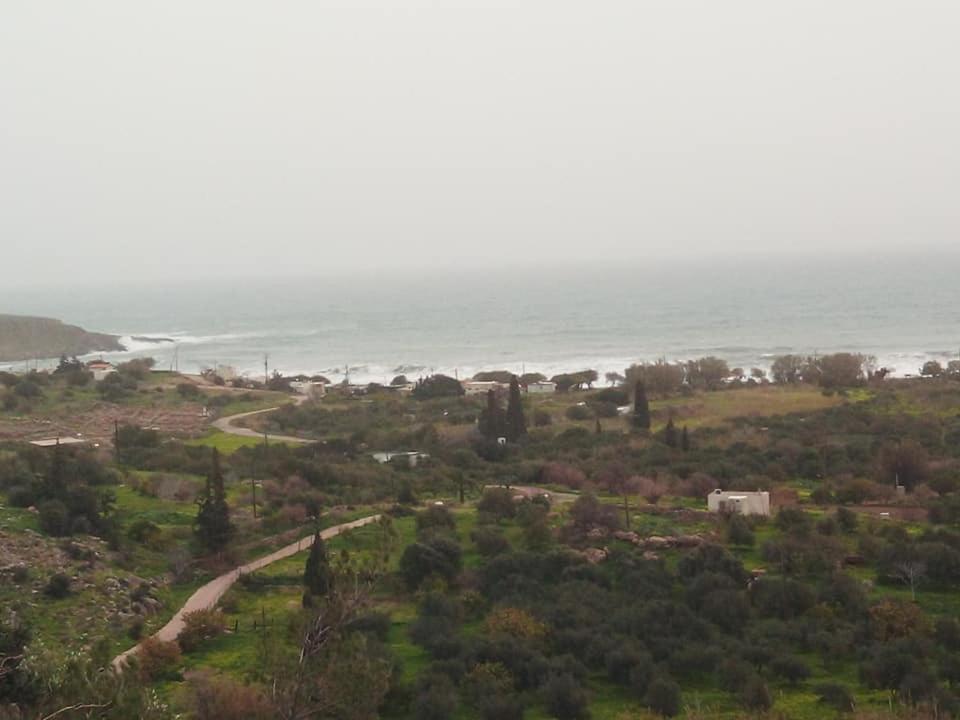 Alkioni Sea View Apartment Káto Zákros Extérieur photo